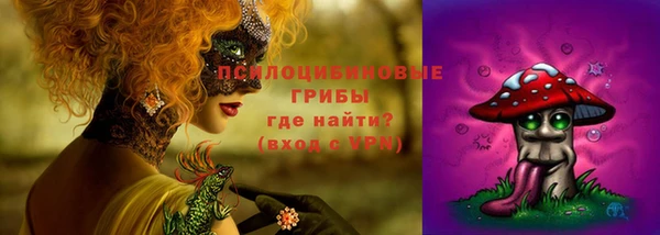 ешки Гусев