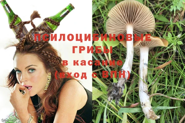 ешки Гусев