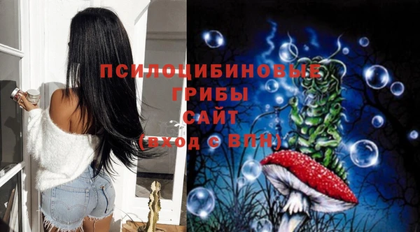 круглые Гусиноозёрск