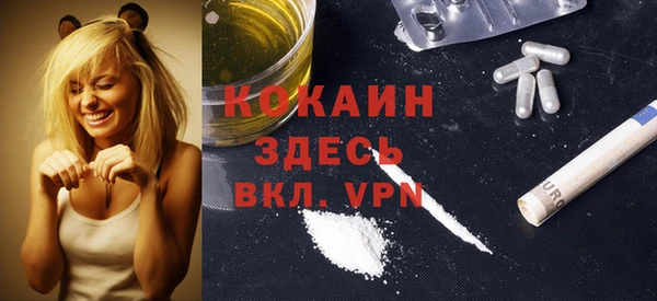 ешки Гусев