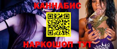 сатива Гатчина