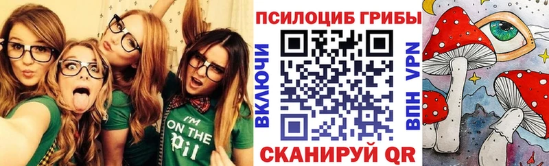Псилоцибиновые грибы Psilocybe Еманжелинск