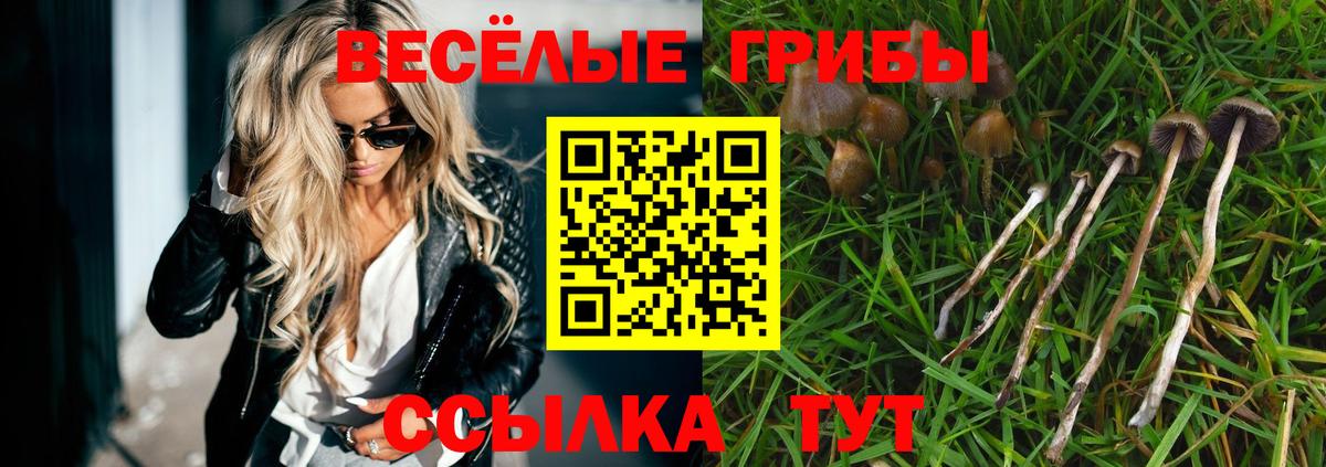 Галлюциногенные грибы GOLDEN TEACHER Еманжелинск