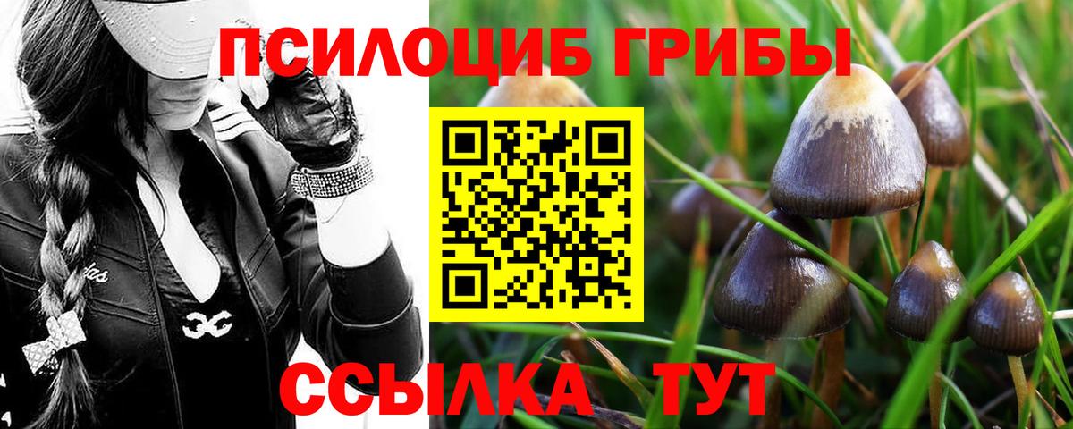 Псилоцибиновые грибы прущие грибы Еманжелинск