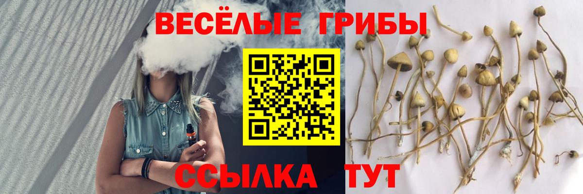 Псилоцибиновые грибы Psilocybine cubensis  Галлюциногенные грибы Magic Shrooms  Еманжелинск  наркотики  Вход с VPN 
