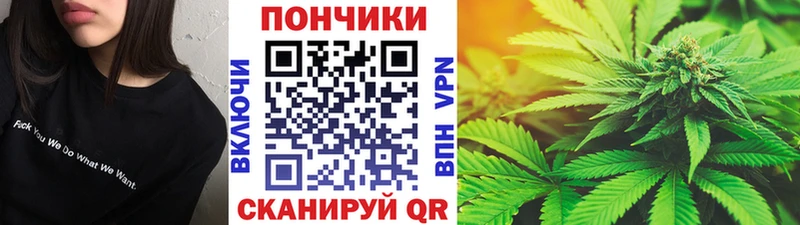 Бошки Шишки SATIVA & INDICA  где купить наркотик  Еманжелинск 