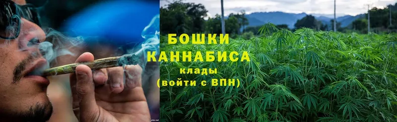 купить наркотики цена  Еманжелинск  Бошки Шишки Bruce Banner 